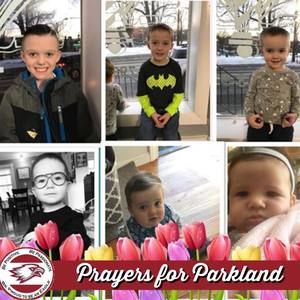 Meet your Posher, Shelly